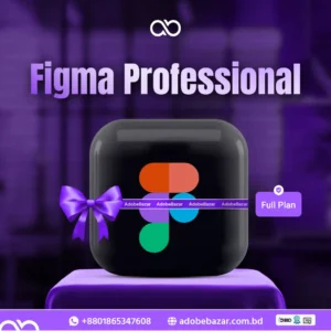 Figma Professional – 24-month subscription